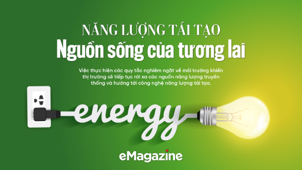 Năng lượng tái tạo: Nguồn sống của tương lai