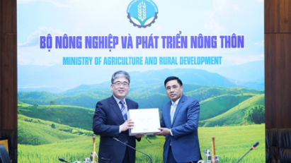 Vietnam & RoK cooperate in high-tech forestry