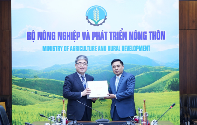Vietnam & RoK cooperate in high-tech forestry
