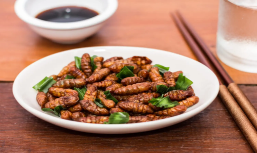 Tranh cãi nảy sinh khi EU cấp phép dùng côn trùng làm thực phẩm