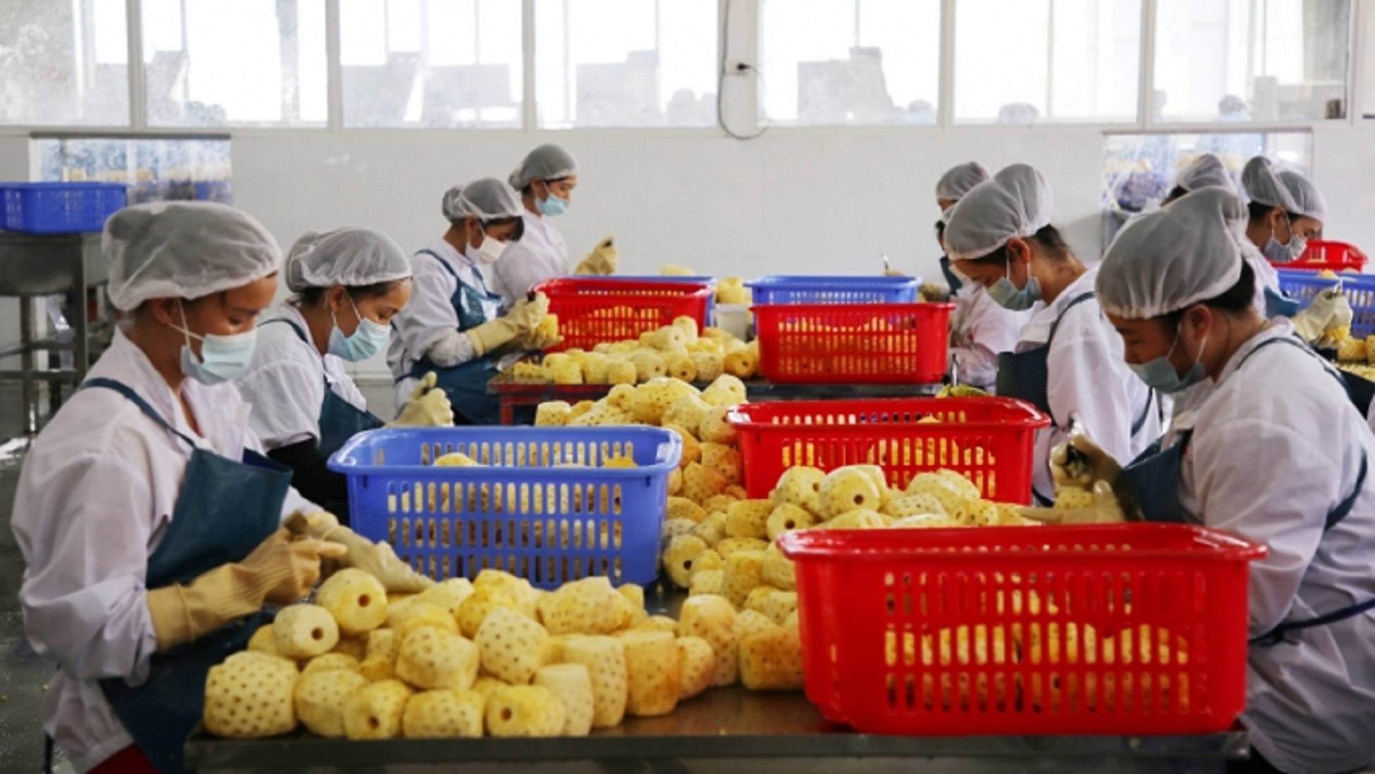 Trái cây đang rộng cửa xuất khẩu vào Trung Quốc.