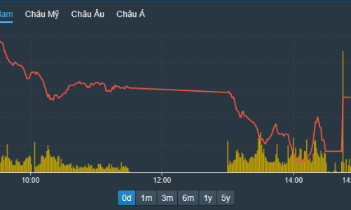 Kéo giật trụ đỡ điểm số cuối phiên, cổ phiếu vẫn bị bán tháo ồ ạt