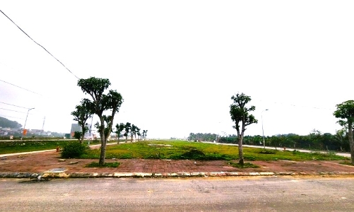 Thanh Hóa hủy kết quả đấu giá khu dân cư hơn 130 tỷ do chủ đầu tư chây ì nộp tiền