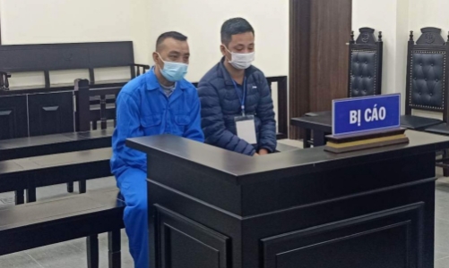 Hậu quả từ hành vi tổ chức,  môi giới nhập cảnh trái phép