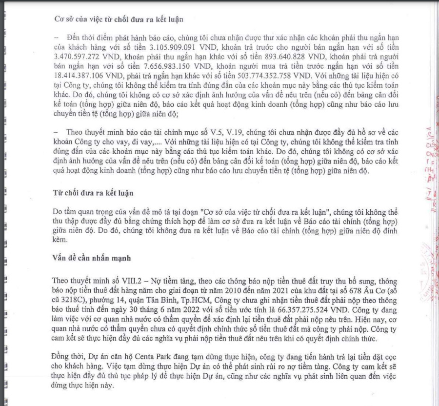 BCTC qu&yacute; 2/2022 của SSN.