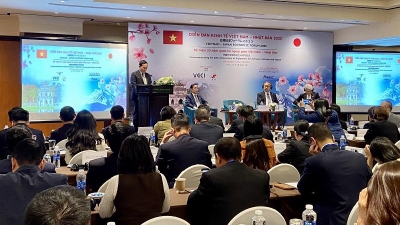 Vietnam an attractive destination for expanding services and startups