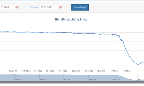 Năm 2022, IBC báo lỗ hơn 81 tỷ, dự kiến hoàn thành tái cấu trúc trong quý 1/2023