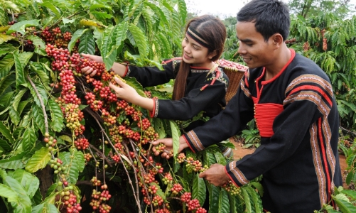 Tháng ba này, đến Buôn Ma Thuột để thưởng thức cà phê miễn phí
