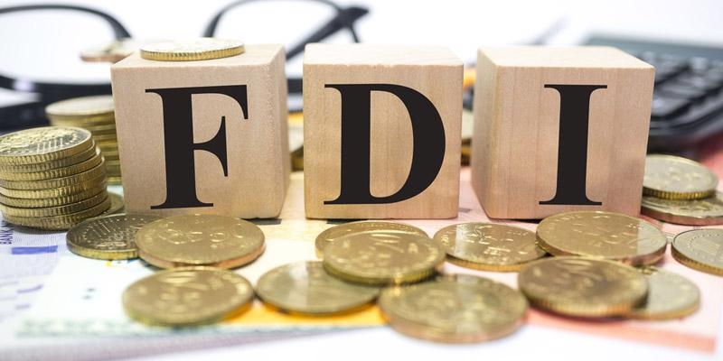 Many FDI firms reporting losses due to economic difficulties