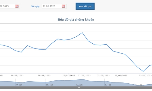 DXG muốn chuyển nhượng 16,6 triệu cổ phần của Sài Gòn Riverview cho Hội An Invest