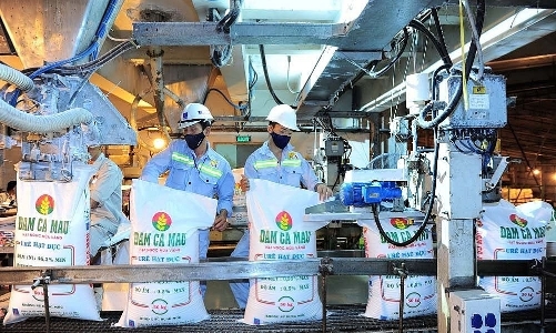 Giá ure giảm mạnh, lợi nhuận doanh nghiệp phân bón lao dốc năm 2023?