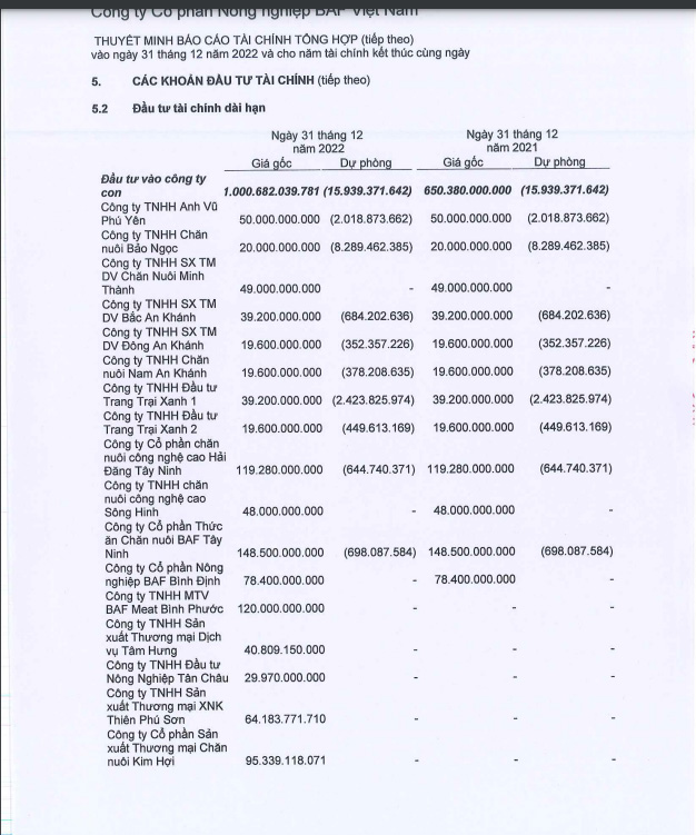 BCTC quý 4/2022 của BAF