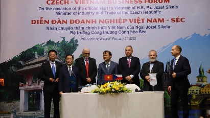 Investment potential remains in Vietnam - Czech Republic ties