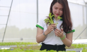 Phát triển nguồn nhân lực ngành nông nghiệp