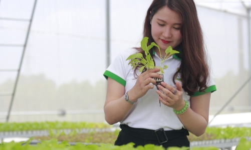 Phát triển nguồn nhân lực ngành nông nghiệp