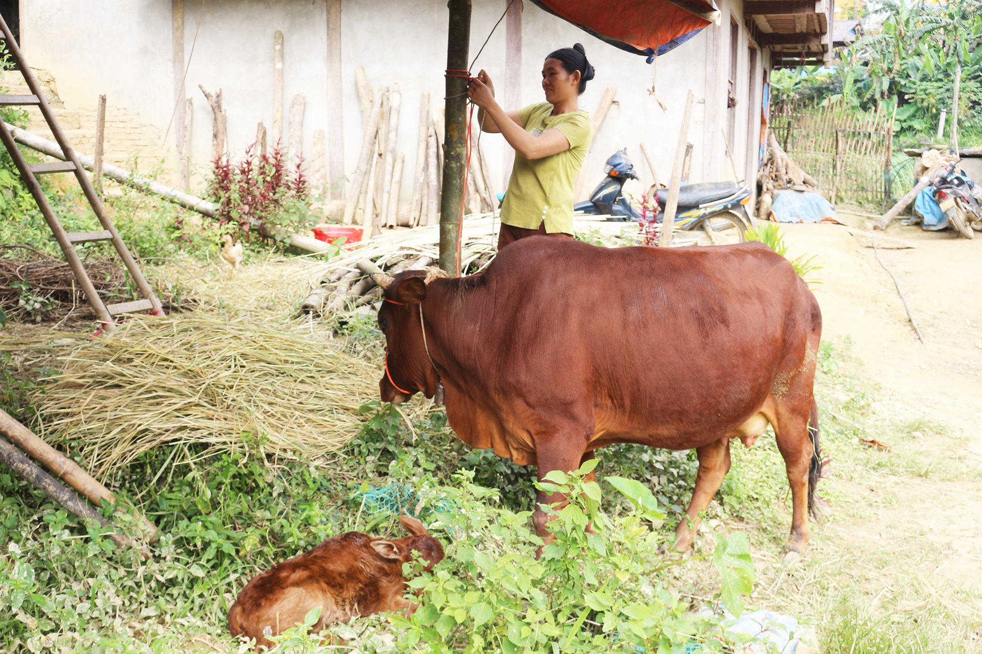 Bắc Kạn hực hiện đồng bộ nhiều giải pháp xóa đói giảm nghèo 