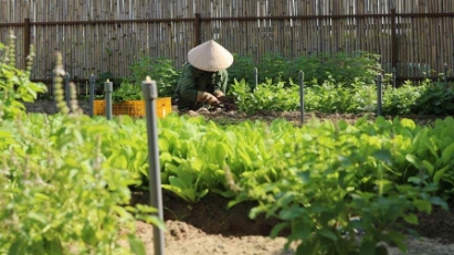 Hotels and resorts developing their own farms