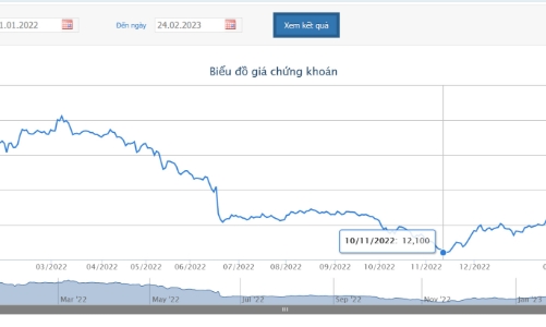 Thành viên HĐQT Hoà Phát chuyển nhượng xong 2 triệu cổ phiếu HPG cho hai con trai