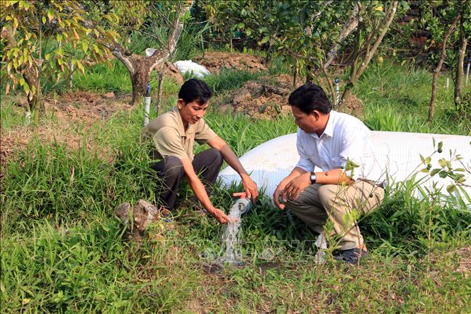 N&ocirc;ng d&acirc;n ĐBSCL l&agrave;m t&uacute;i trữ nước ngọt tại vườn phục vụ tưới ti&ecirc;u.