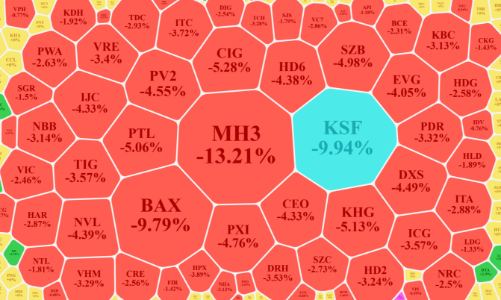 Nội ngoại cùng bán tháo, VN-Index bốc hơi 20 điểm
