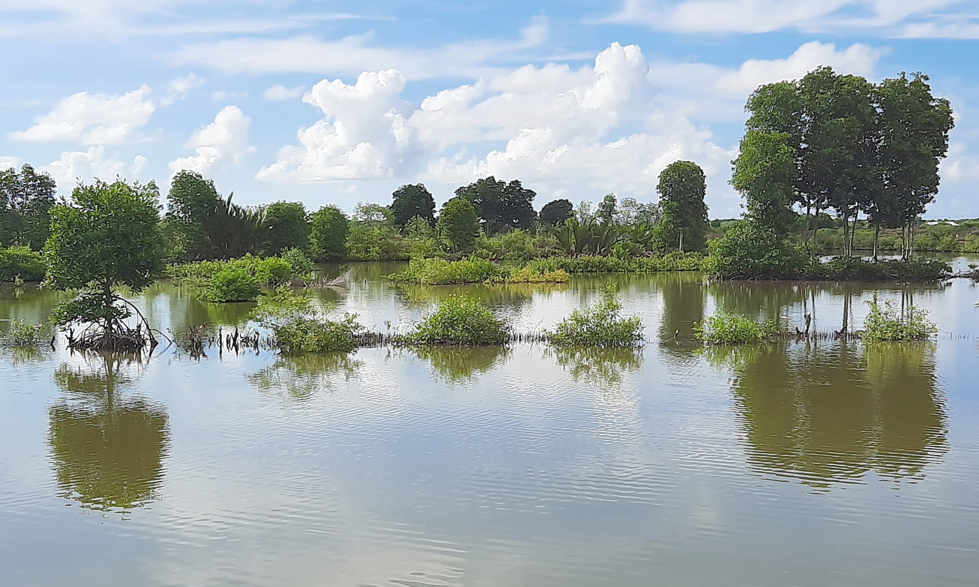 Bến Tre quan t&acirc;m c&ocirc;ng t&aacute;c quản l&yacute;, bảo vệ v&ugrave;ng nước ven biển. Ảnh: Thanh Bạch.