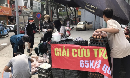 Cảnh giác với trứng gia cầm “giải cứu”
