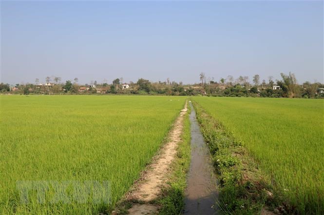 Ảnh minh họa.