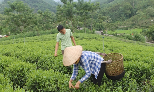 Việt Nam nỗ lực giảm nghèo đa chiều, nhưng phía trước vẫn còn nhiều thách thức