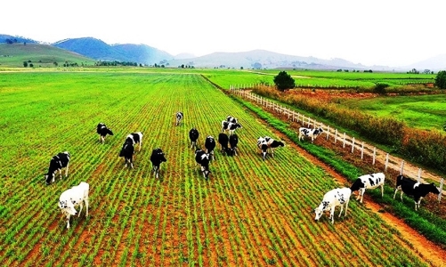 Tiến tới thành lập Hiệp hội Doanh nghiệp Nông nghiệp Việt Nam đầu tư sang Lào 