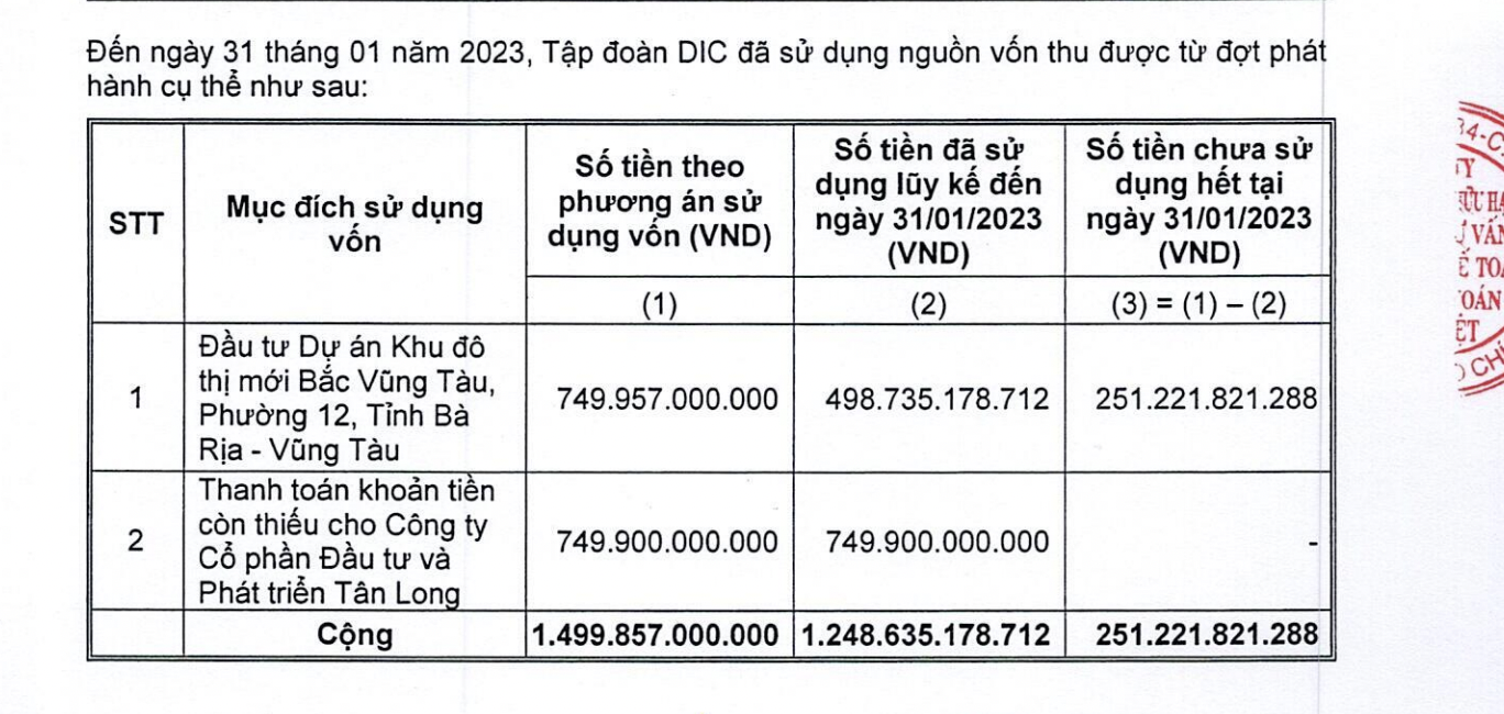 Quá trình sử dụng vốn DIG huy động được từ năm 2021.