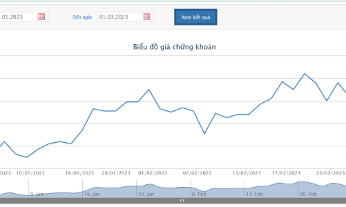 Thanh tra Bộ Tài chính tạm giữ 2,08 tỷ đồng của HSG để xử lý vi phạm hành chính thuế 