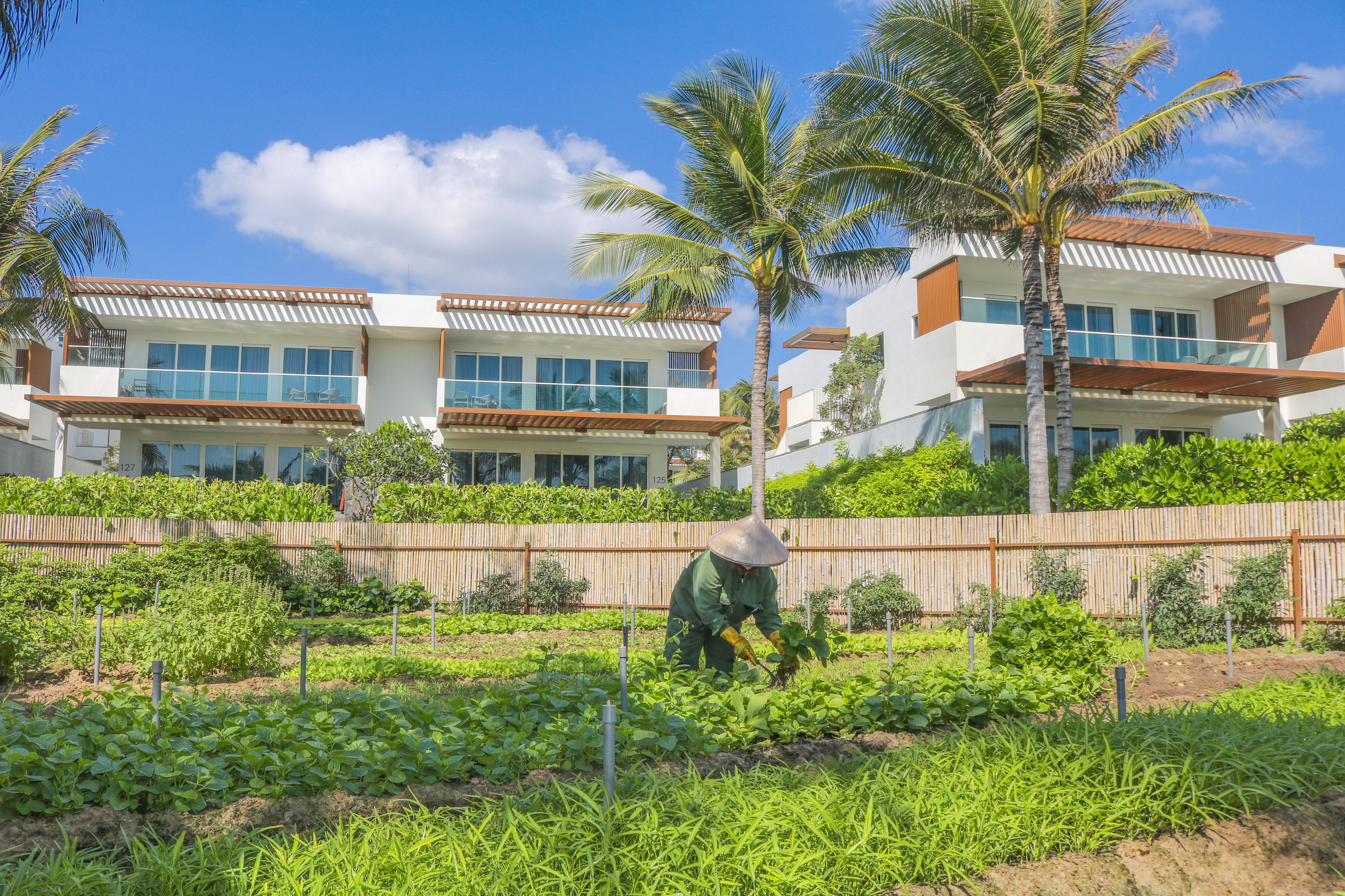 Vườn ươm, vườn thảo mộc tại Alma Resort.