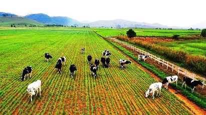 Association of agricultural businesses investing in Laos to debut