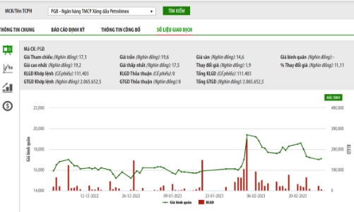 Petrolimex muốn đấu giá toàn bộ 120 triệu cổ phiếu PG Bank, giá khởi điểm 21.300 đồng