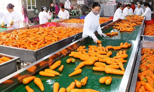 Bốn tỉnh tìm giải pháp tháo gỡ khó khăn cho doanh nghiệp xuất khẩu