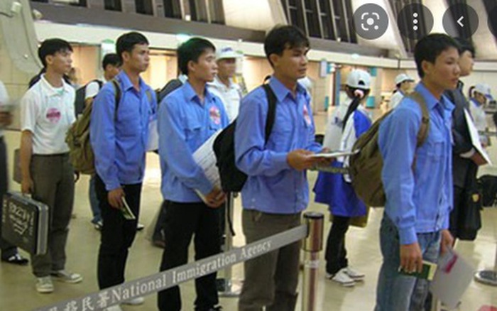Ảnh minh họa. 