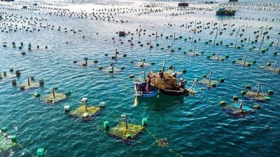Vietnam & Norway boost cooperation in aquaculture