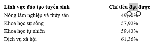 VnEconomy