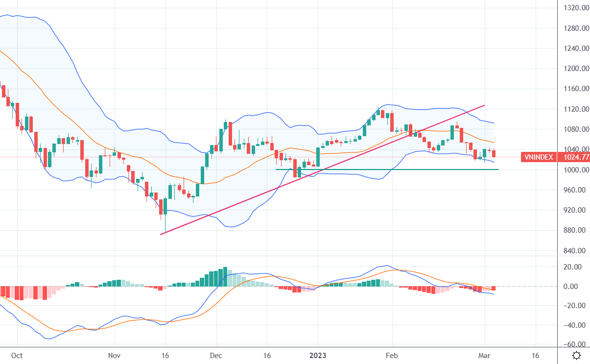 VN-Index và chỉ báo kỹ thuật MACD.