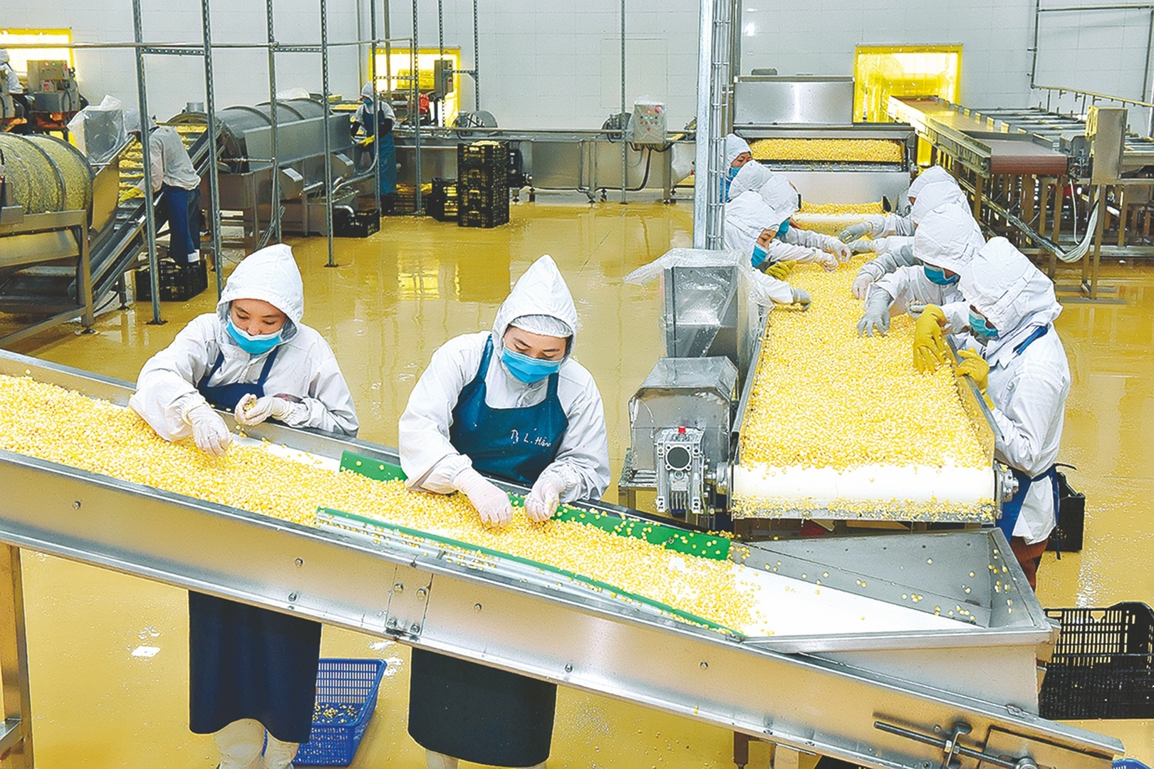 Nông sản Việt Nam còn nhiều cơ hội xuất ngoại