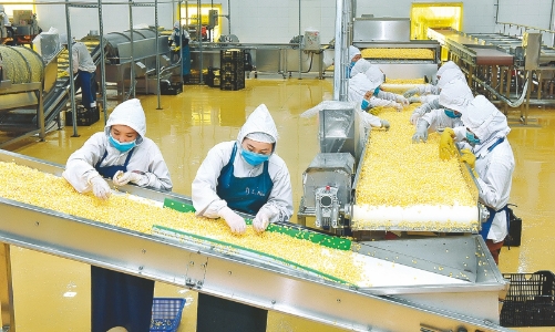 Tìm cơ hội cho nông sản Việt Nam xuất ngoại 