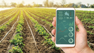 Digitalization an aid in product traceability