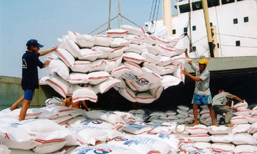 Xuất khẩu gạo của Việt Nam sẽ tăng cao do các nước đẩy mạnh dự trữ lương thực 