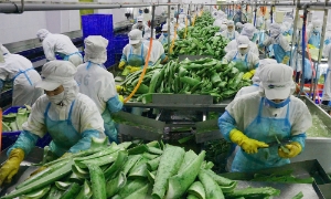 Hiệp định UKVFTA mở ra nhiều cơ hội cho thương mại xanh