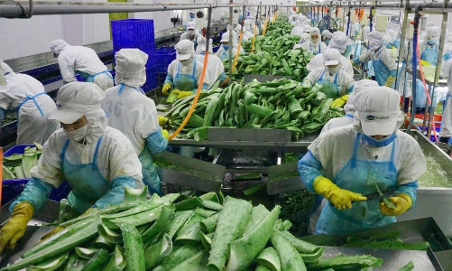 Hiệp định UKVFTA mở ra nhiều cơ hội cho thương mại xanh