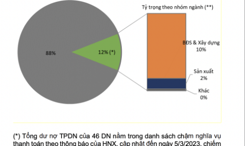 Nghị định 08 có “hóa giải” được sức ép điểm rơi đáo hạn trái phiếu vào quý 2-3/2023? 