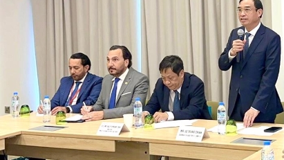 Da Nang seeking investment from UAE businesses