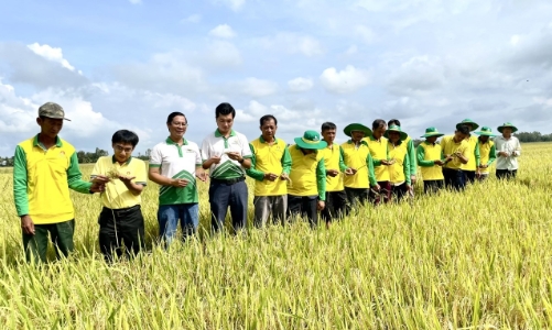 PVFC đạt doanh thu 82.000 tỷ trong 12 năm 