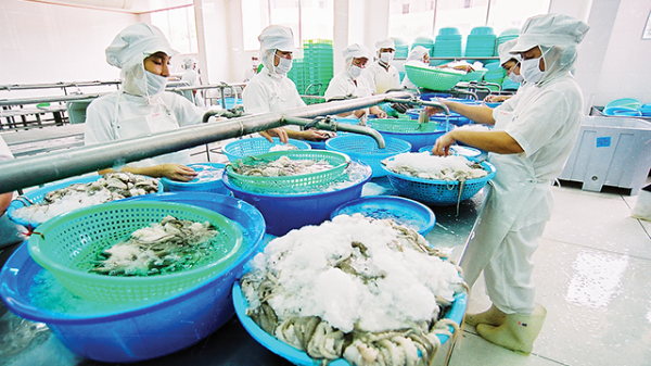 Thúc đẩy xuất khẩu nông sản, thực phẩm chế biến