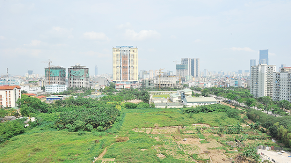 Cân nhắc có lộ trình áp dụng giá đất sát với giá thị trường